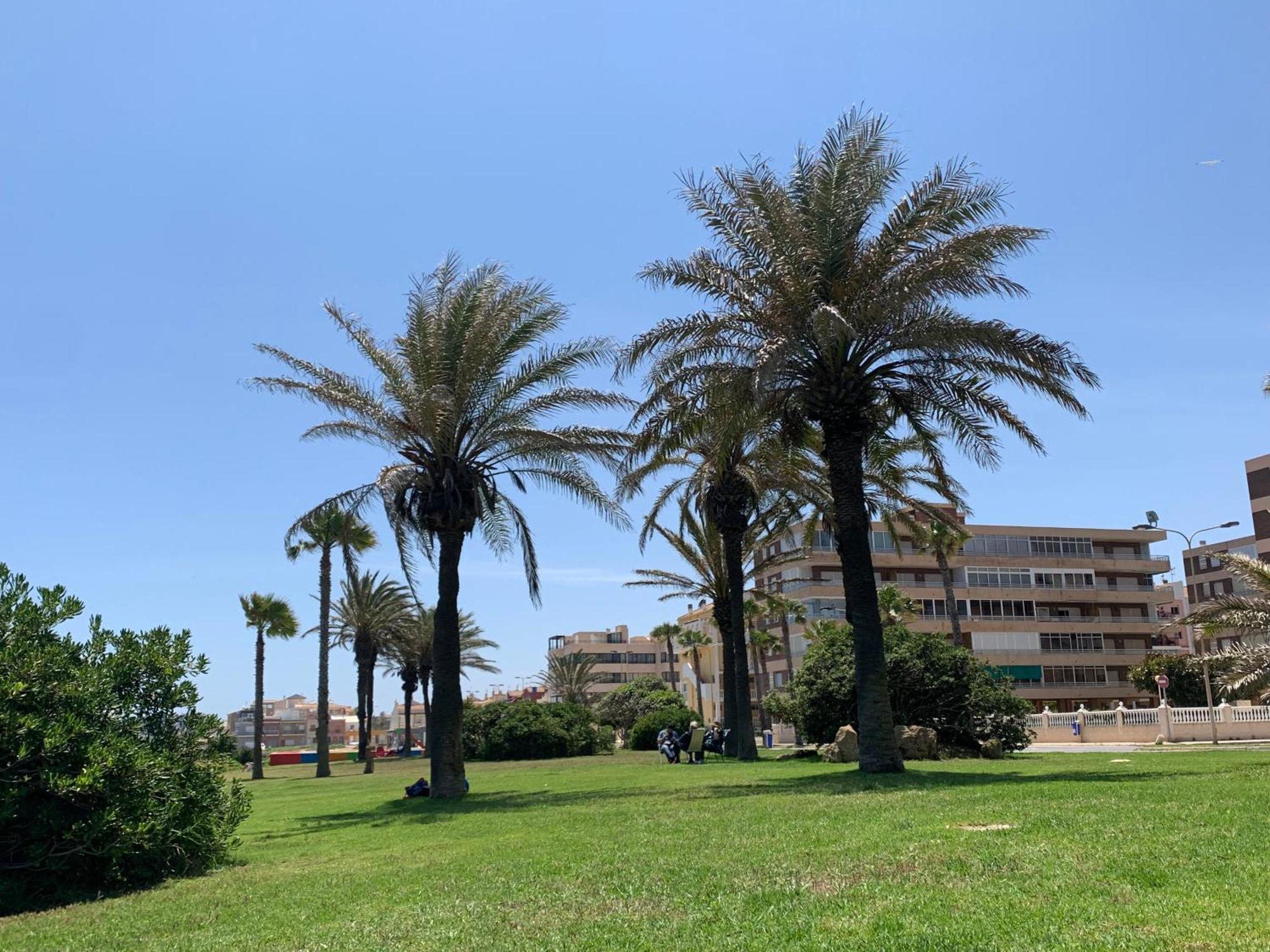 Apartment With Side Seaview 60 Meters From Sea Torrevieja Exterior foto
